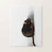 Rat 11x14 252 pc jpcna legpuzzel (Verticaal)