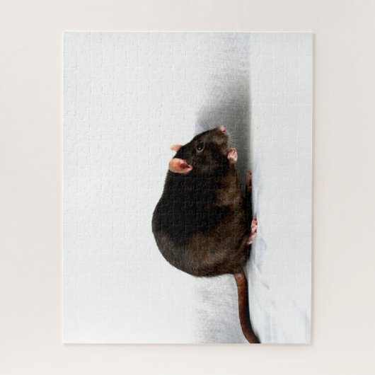 Rat 16x20 520pc jpcna legpuzzel (Verticaal)