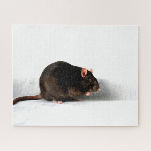 Rat 16x20 520pc jpcna legpuzzel (Horizontaal)
