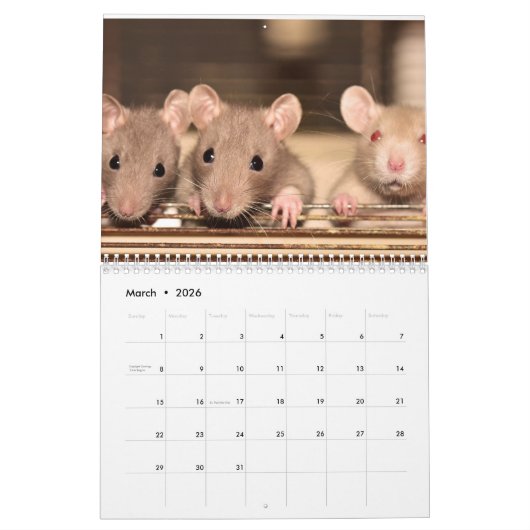 Rat 2025 kalender (Mar 2026)