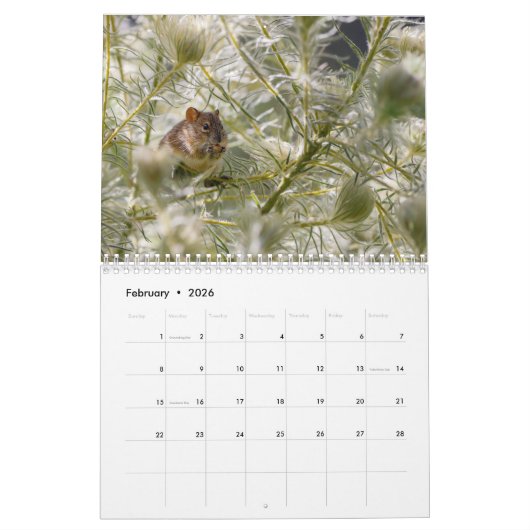 Rat 2025 kalender (Feb 2026)