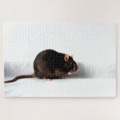 Rat 20x30 1014pc jpa legpuzzel (Horizontaal)