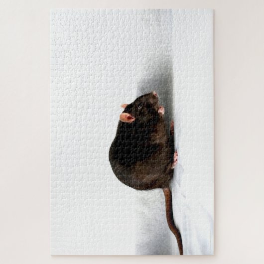 Rat 20x30 1014pc jpa legpuzzel (Verticaal)