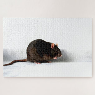 Rat 20x30 1014pc-jpcn legpuzzel