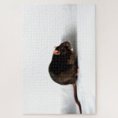 Rat 20x30 1014pc-jpcn legpuzzel (Verticaal)