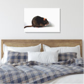 Rat 24x16 (60x40cm) wacm canvas afdruk (Insitu (Slaapkamer))