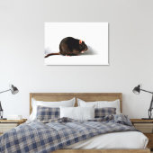 Rat 36x24 (90x60cm) waccna canvas afdruk (Insitu (Slaapkamer))