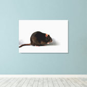 Rat 36x24 (90x60cm) waccna canvas afdruk (Insitu (Houten vloer))
