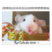 Rat Afbeelding 2012 Kalender (Hoes)