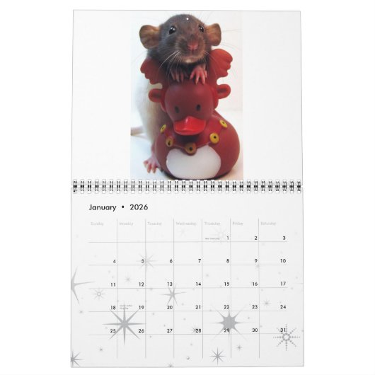 Rat Afbeelding 2012 Kalender (Jan 2026)