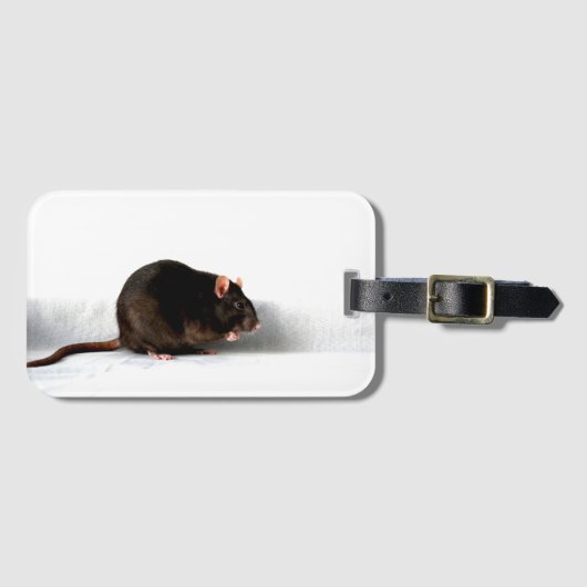 Rat bc litcna bagagelabel (Voorkant (horizontaal))