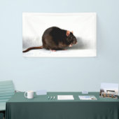 Rat bnrcnm spandoek (Beurs)