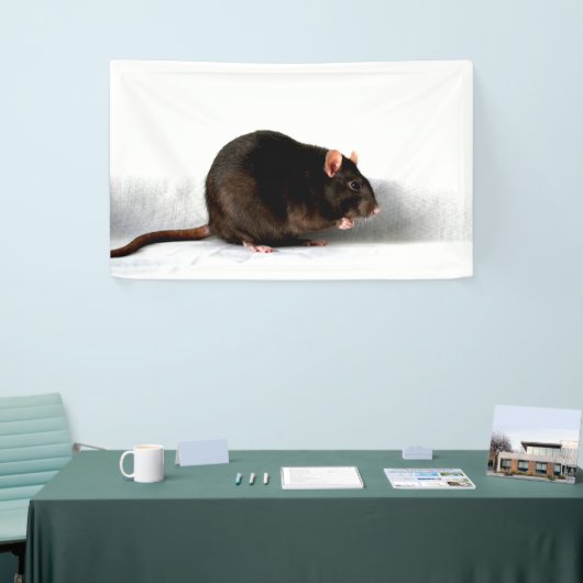 Rat bnrcnm spandoek (Beurs)