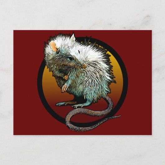 Rat Boi Briefkaart (Voorkant)