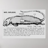 Rat Bomb, beschrijvende catalogus van speciale app Poster (Voorkant)