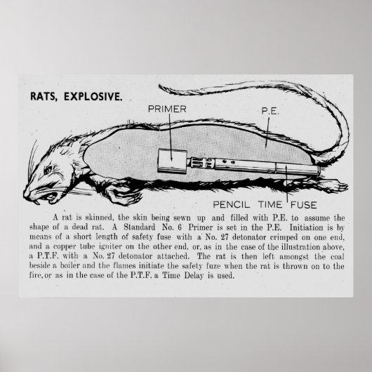 Rat Bomb, beschrijvende catalogus van speciale app Poster (Voorkant)