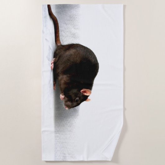 Rat btcnm strandlaken (Voorkant)