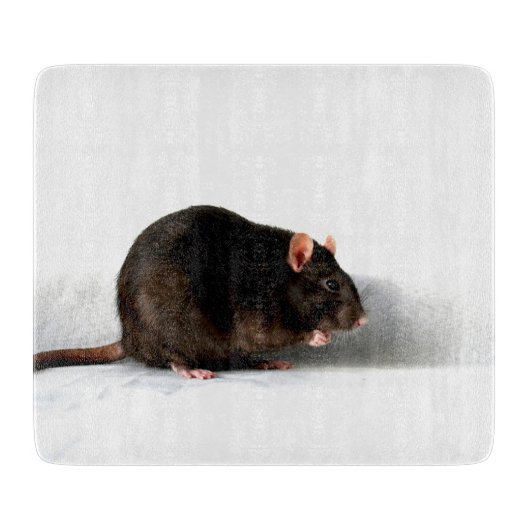 Rat cbcna snijplank (Voorkant)