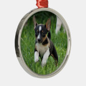 Rat dooder Ornament (Rechts)