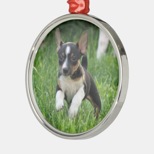 Rat dooder Ornament (Links)