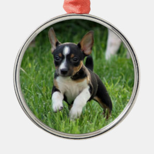 Rat dooder Ornament
