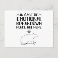 Rat emotionele uitsplitsing | Rats Pets Giften