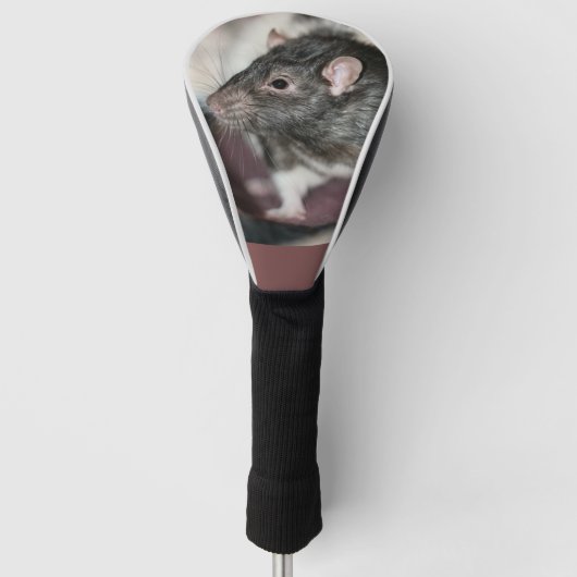 Rat Golfheadcover (Voorkant)