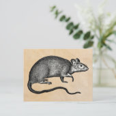 Rat Halloween  Briefkaart (Staand voorkant)