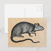 Rat Halloween  Briefkaart (Voorkant / Achterkant)