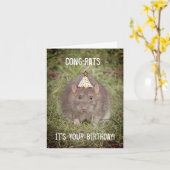 Rat Happy Birthday - Fun-kaart Kaart (Gele Bloem)