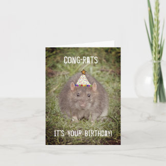 Rat Happy Birthday - Fun-kaart Kaart