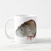 Rat Hole Mok