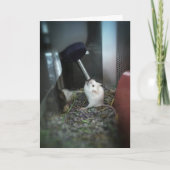 "RAT-ically Parched" - Kaart met dank (Voorkant)