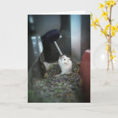 "RAT-ically Parched" - Kaart met dank (Gele Bloem)