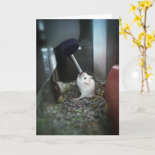 "RAT-ically Parched" - Kaart met dank (Gele Bloem)