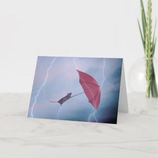 Rat in de Kaart van het Storm