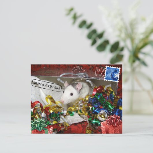 Rat in een Briefkaart (Staand voorkant)