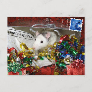 Rat in een Briefkaart