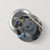 Rat in een Button met opening (Voorkant /achterkant)
