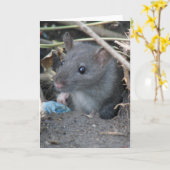 Rat in een hol Wenskaart Kaart (Gele Bloem)