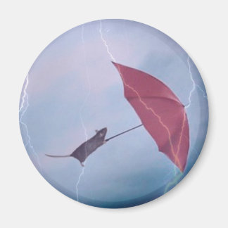 Rat in een Stormen magneet