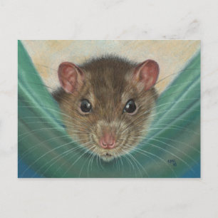 Rat in Hammock briefkaart KMCoriginals