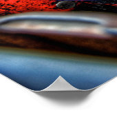 Rat Interior Poster (Hoek)