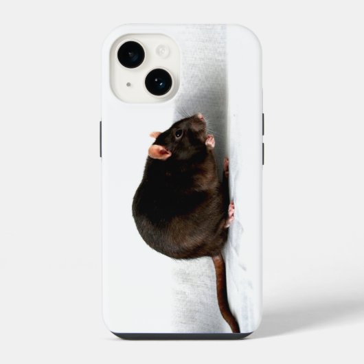 Rat iphcnm iPhone hoesje (Achterkant)