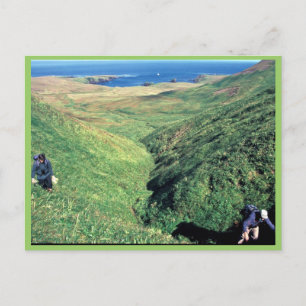 Rat Island, Amerikaanse bioloog Jeff Williams en I Briefkaart