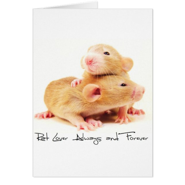 Rat Lover Altijd en altijd (Voorkant)