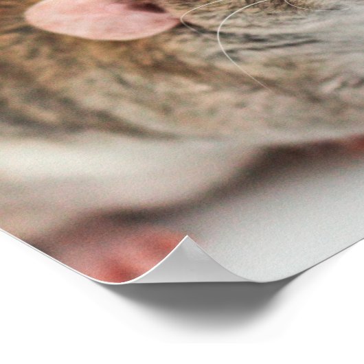 Rat Lover Poster (Hoek)