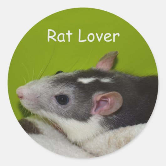 Rat Lover Stickers (Voorkant)