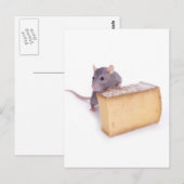 rat met kaas briefkaart (Voorkant / Achterkant)