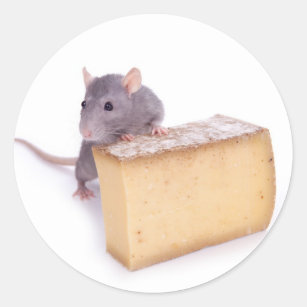 rat met kaas ronde sticker